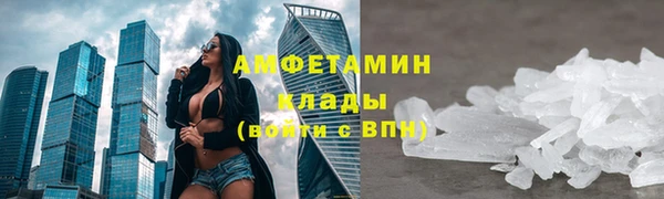 сатива Вязьма