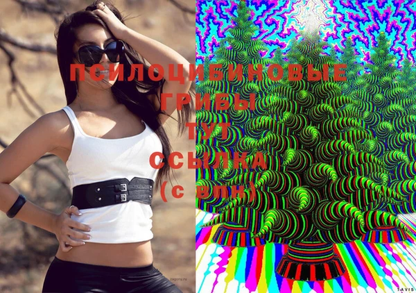 стафф Верея