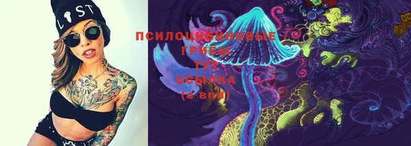 сатива Вязьма
