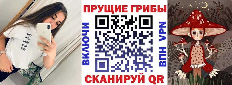 Купить закладки  Дудинка  Галлюциногенные грибы Psilocybe 