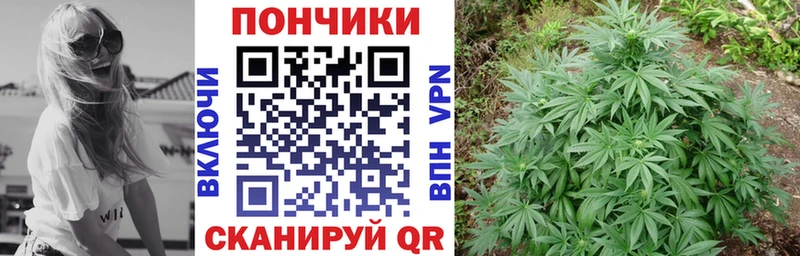 Бошки марихуана индика  Купить закладки  Дудинка 